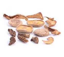 Getrocknete Pilze
