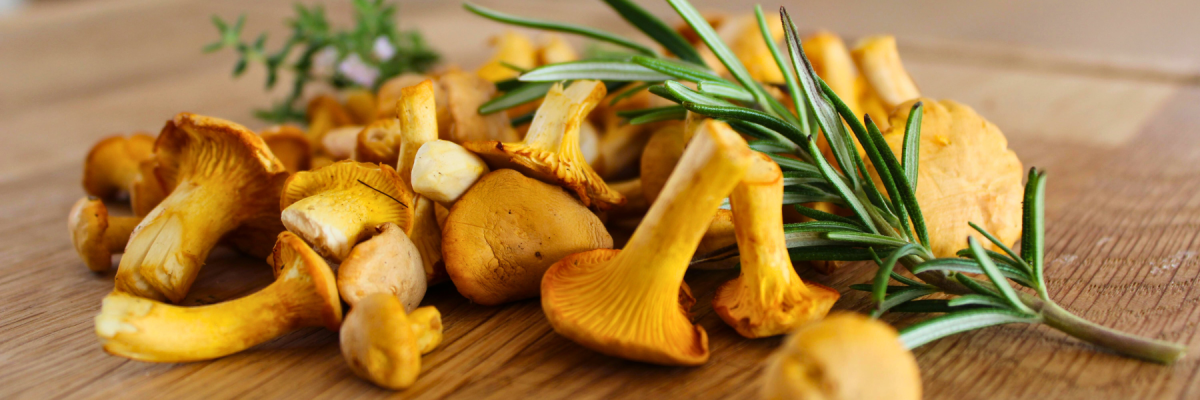 Pfifferlinge: Alles über den beliebten Waldpilz - Pfifferlinge: Alles über den beliebten Waldpilz