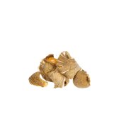 Asiapilz Mix Bio 30 g
