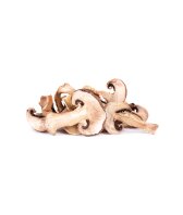 Champignon getrocknet Bio