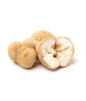BIO Hericium Pulver für Tiere