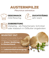 Austernpilze