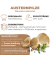 Austernpilze