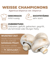 Champignon weiss