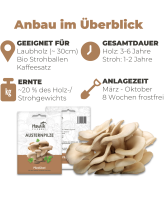 Austernpilze Dübel