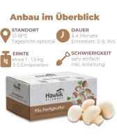 Champignonkultur weiss - klein