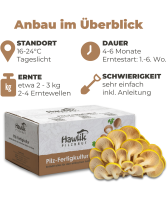 Limonenpilze