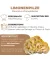 Limonenpilz Pilzbeet-Set