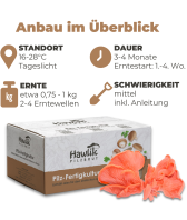 BIO Rosenseitling-Kultur