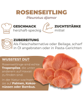 BIO Rosenseitling-Kultur