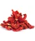 Tomaten getrocknet Bio 100g