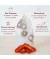 Tomaten getrocknet Bio 100g