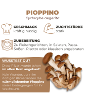 BIO Pioppino-Kultur