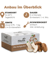 BIO Shiitake-Kultur