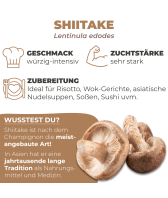 BIO Shiitake-Kultur