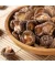 BIO Shiitake-Kultur