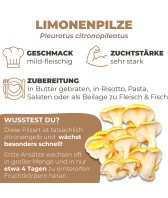 Limonenpilzkultur klein
