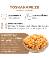 BIO Toskanapilz-Kultur