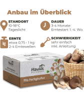 BIO Black Pearl Austernpilze