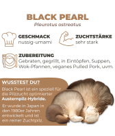 BIO Black Pearl Austernpilze