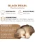 BIO Black Pearl Austernpilze