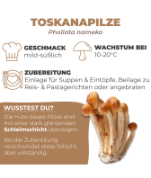 Toskanapilz Pilzbeet-Set
