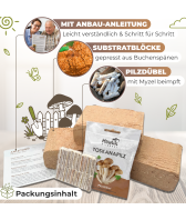 Toskanapilz Pilzbeet-Set