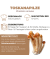 Toskanapilz Pilzbeet-Set