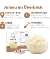 Hericium Dübel