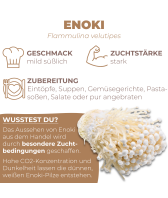 Enoki Dübel
