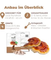Reishi Dübel