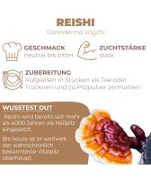 Reishi Dübel