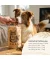 Chaga Leckerlis für Hunde
