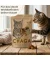 Chaga Leckerlis für Katzen