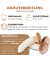 BIO Kräuterseitling-Kultur