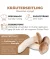 BIO Kräuterseitling-Kultur