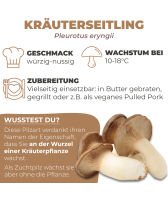 Kräuterseitling Pilzbeet-Set