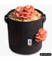 Pilzzucht-Tasche