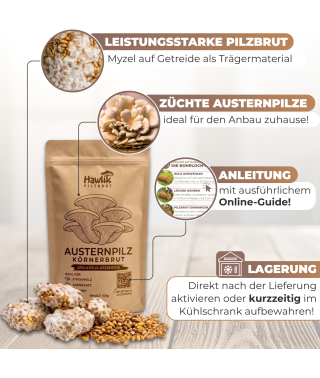 infantastic fahrradanhänger aufbauanleitung HAUTOO 