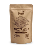 Austernpilze Körnerbrut