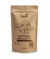 Shiitake Körnerbrut