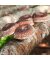 Shiitake Körnerbrut