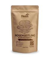 Rosenseitling Körnerbrut