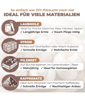 Rosenseitling Körnerbrut