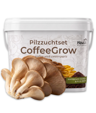 Pilzzuchtset CoffeeGrow Austernpilz