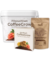 Pilzzuchtset CoffeeGrow Austernpilz