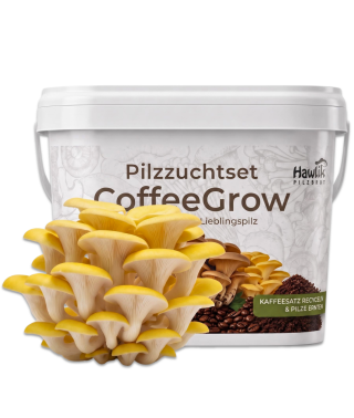 Pilzzuchtset CoffeeGrow Limonenpilz