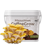 Pilzzuchtset CoffeeGrow Limonenpilz