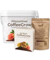 Pilzzuchtset CoffeeGrow Limonenpilz