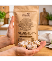 Pilzzuchtset CoffeeGrow Rosenseitling